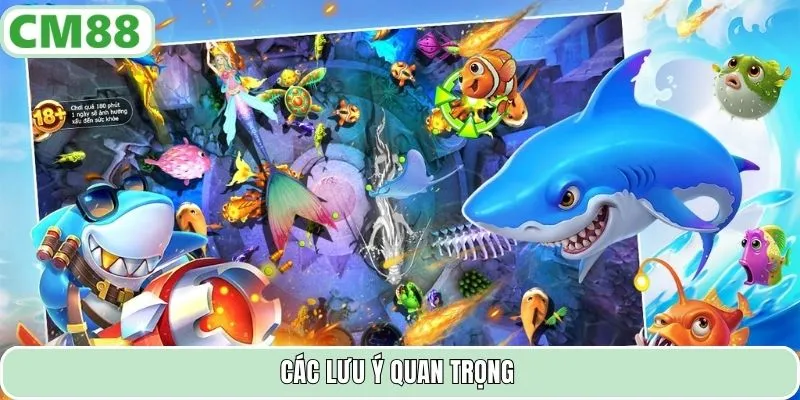 Các lưu ý quan trọng
